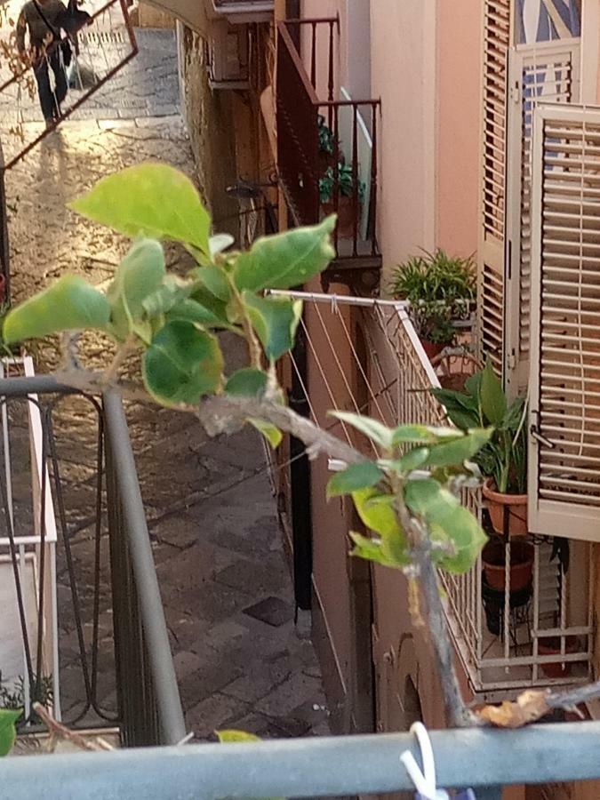 Vento Di Terra 3*